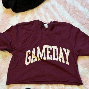 Bella Canvas Burgundy Graphic Crop Top